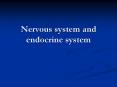 Nervous system and endocrine system PowerPoint PPT Presentation