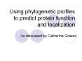 Using phylogenetic profiles to predict protein function and localization PowerPoint PPT Presentation