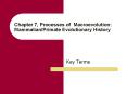 Chapter 7, Processes of Macroevolution:  Mammalian/Primate Evolutionary History PowerPoint PPT Presentation