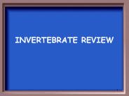 INVERTEBRATE REVIEW