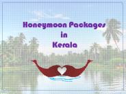 Honeymoon Packages in Kerala