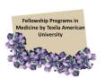 Fellowship Programs in Medicine by Texila American University PowerPoint PPT Presentation