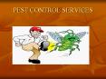 pest control company ghaziabad India PowerPoint PPT Presentation