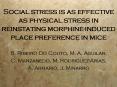 Social stress is as effective as physical stress in reinstating morphine-induced place preference in mice PowerPoint PPT Presentation