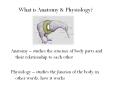 What is Anatomy PowerPoint PPT Presentation