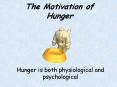 The Motivation of Hunger PowerPoint PPT Presentation