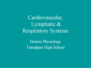 Cardiovascular, Lymphatic