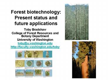 Forest biotechnology: Present status and future applications