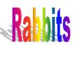 Rabbits PowerPoint PPT Presentation