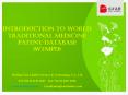 Introduction to World Traditional Medicine Patent Database PowerPoint PPT Presentation