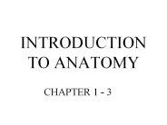 INTRODUCTION TO ANATOMY