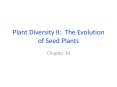 Plant Diversity II: The Evolution of Seed Plants PowerPoint PPT Presentation