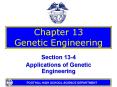 Chapter 13 Genetic Engineering PowerPoint PPT Presentation
