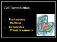 Cell Reproduction PowerPoint PPT Presentation