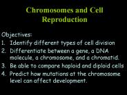 Chromosomes and Cell Reproduction