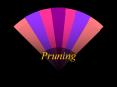 Pruning PowerPoint PPT Presentation