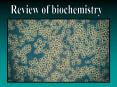 Review of biochemistry PowerPoint PPT Presentation