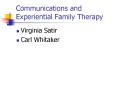 Communications and Experiential Family Therapy PowerPoint PPT Presentation