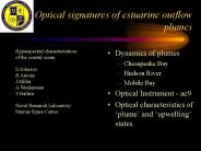 Optical signatures of estuarine outflow plumes