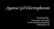 Agarose Gel Electorphoresis