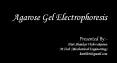 Agarose gel electrophoresis by hs PowerPoint PPT Presentation