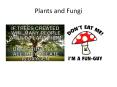 Plants and Fungi PowerPoint PPT Presentation