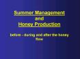 Summer Management and Honey Production before - during and after the honey flow PowerPoint PPT Presentation