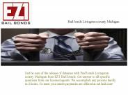 Bail bonds Livingston county Michigan