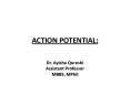 ACTION POTENTIAL: PowerPoint PPT Presentation