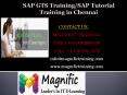 Sap gts training/sap tutorial training in chennai PowerPoint PPT Presentation