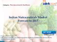 Aarkstore - Indian Nutraceuticals Market Forecast to 2017 PowerPoint PPT Presentation
