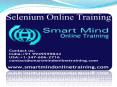 Selenium online training | Online Selenium Training in usa, uk, Canada, Malaysia, Australia, India, Singapore. (1) PowerPoint PPT Presentation