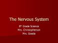 The Nervous System PowerPoint PPT Presentation