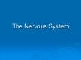 The Nervous System PowerPoint PPT Presentation