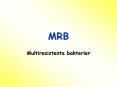 MRB PowerPoint PPT Presentation