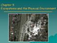 Chapter 5 Ecosystems and the Physical Environment PowerPoint PPT Presentation