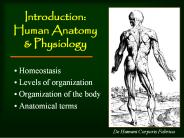 Introduction: Human Anatomy