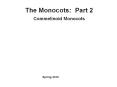 The Monocots: Part 2 Commelinoid Monocots PowerPoint PPT Presentation