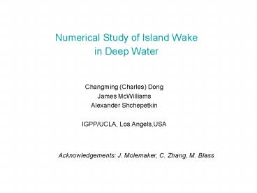 Numerical Study of Island Wake in Deep Water