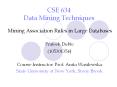 CSE 634 Data Mining Techniques PowerPoint PPT Presentation