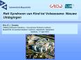 Rett Syndroom van Kind tot Volwassene: Nieuwe Uitdagingen PowerPoint PPT Presentation