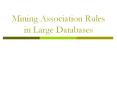 Mining Association Rules in Large Databases PowerPoint PPT Presentation