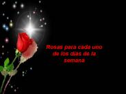 ROSAS