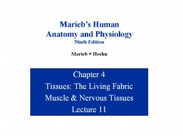 Tissues: The Living Fabric