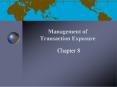 Management of Transaction Exposure PowerPoint PPT Presentation