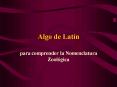Algo de Lat PowerPoint PPT Presentation