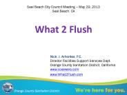 What 2 Flush