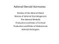 Adrenal Steroid Hormones PowerPoint PPT Presentation