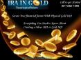 IRA gold investment - A Perfect Long-Term Investment PowerPoint PPT Presentation