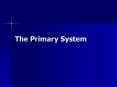 The Primary System PowerPoint PPT Presentation